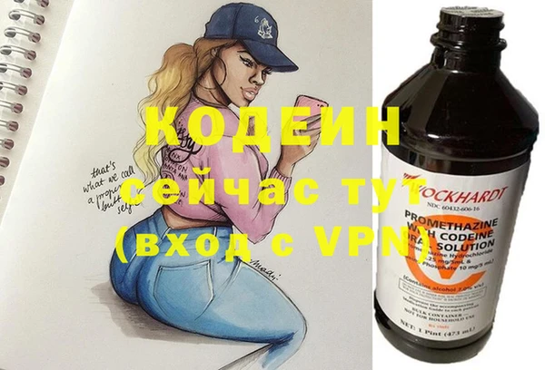 мет Корсаков