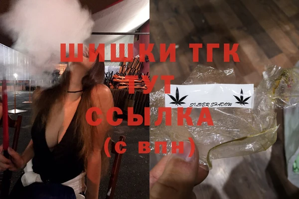 PSILOCYBIN Костерёво