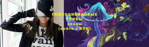гидропоника Краснослободск