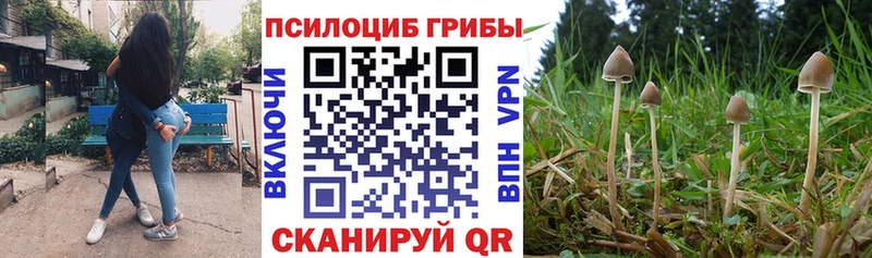 дарнет шоп  мега как войти  Галлюциногенные грибы GOLDEN TEACHER  Озёрск 